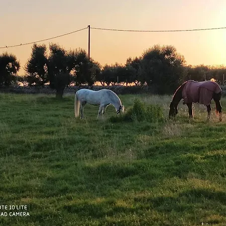 Masseria Le Mesolecchie Lejlighed Crispiano