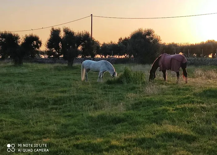 Masseria Le Mesolecchie 公寓 Crispiano